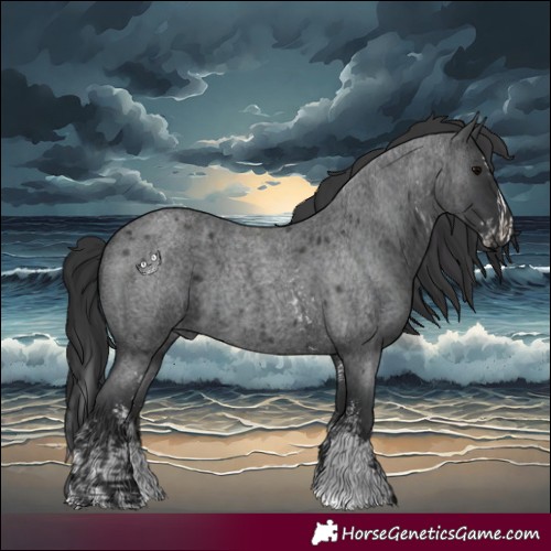 Horse Color:Blue Roan Sabino Splash  and Blue Roan Sabino 