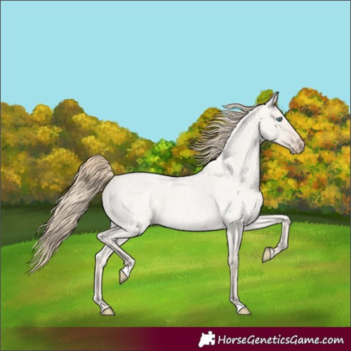 Horse Color:Smoky Creme Roan Dun 