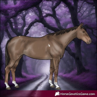 Horse Color:Liver Red Dun Tobiano Rabicano 