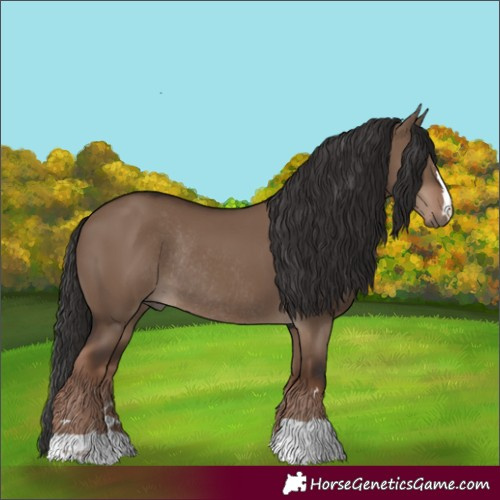 Horse Color:Liver Red Dun Rabicano