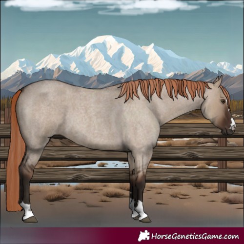 Horse Color:Liver Red Dun Roan 