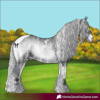 Horse Color:White Spotted Silver Blue Onyx Chinchilla Ice Tobiano