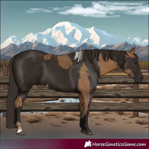 Horse Color:Chocolate Palomino  and Liver Chestnut 