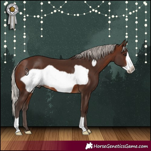 Horse Color:Silver Brown Frame 