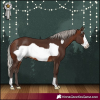 Horse Color:Silver Brown Frame