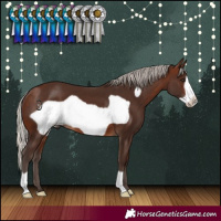Horse Color:Silver Brown Frame 