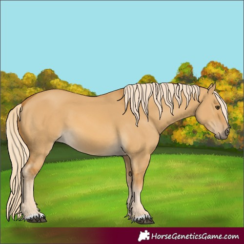 Horse Color:Palomino Dun 
