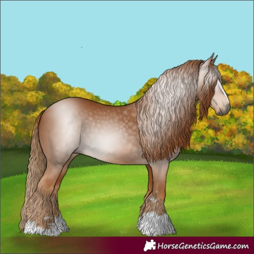 Horse Color:Gray Chestnut 