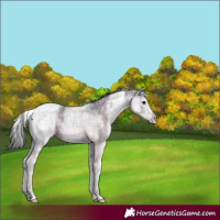 Horse Color:White Spotted Smoky Black Ice Splash Tobiano