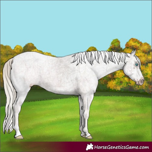 Horse Color:White Spotted Silver Smoky Black Ice Splash Tobiano Frame 
