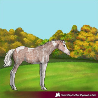 Horse Color:Silver Bay Ice Sabino Splash Tobiano 