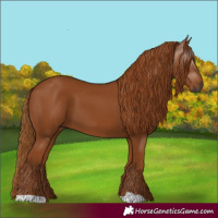 Horse Color:Gray Chestnut