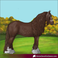 Horse Color:Gray Chestnut