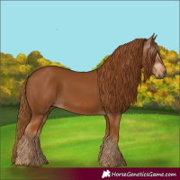 Horse Color:Gray Chestnut 
