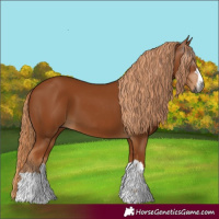 Horse Color:Gray Chestnut 