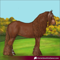 Horse Color:Gray Chestnut