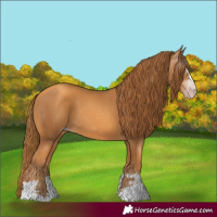 Horse Color:Gray Gold Champagne 