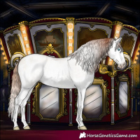 Horse Color:Gray White Spotted Classic Cream Champagne Pearl Splash Blanket