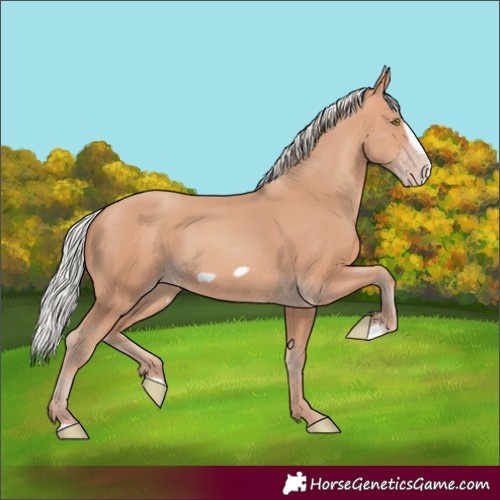Horse Color:Silver Amber Champagne Frame 