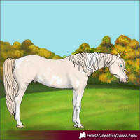 Horse Color:White Spotted Perlino Tobiano