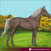 Horse Color:Silver Black 