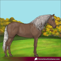 Horse Color:Silver Black