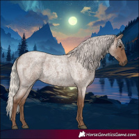 Horse Color:Silver Blue Roan 