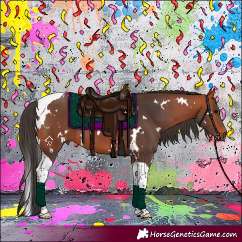 Horse Color:White Spotted Bay Tobiano
