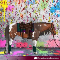 Horse Color:White Spotted Bay Tobiano 