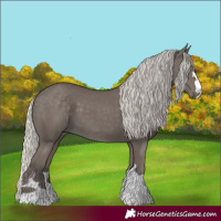 Horse Color:Silver Smoky Black 