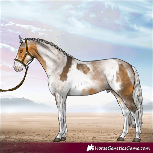 Horse Color:White Spotted Silver Buckskin  and White Spotted Silver Grullo 