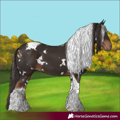 Horse Color:White Spotted Liver Chestnut Tobiano