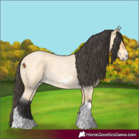 Horse Color:Buckskin Roan Tobiano Frame