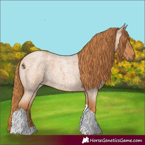Horse Color:Red Roan Tobiano 