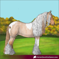 Horse Color:Red Roan Tobiano 