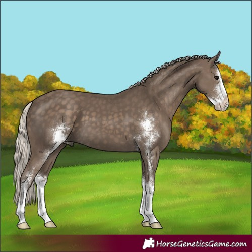 Horse Color:Silver Smoky Black Sabino 