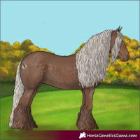 Horse Color:Silver Black