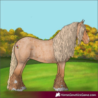 Horse Color:Red Roan Varnish