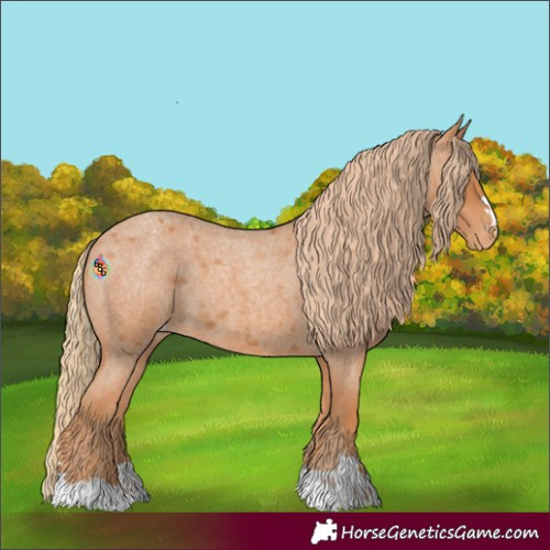 Horse Color:Red Roan Varnish 