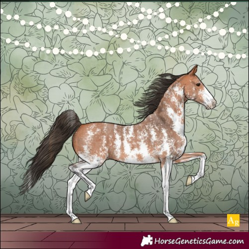 Horse Color:Bay Sabino 