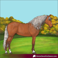 Horse Color:Silver Bay 