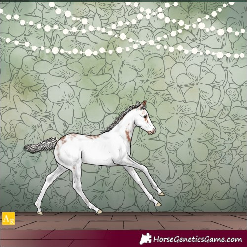 Horse Color:Silver Bay Sabino Frame 