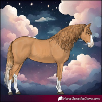 Horse Color:Chestnut Splash 