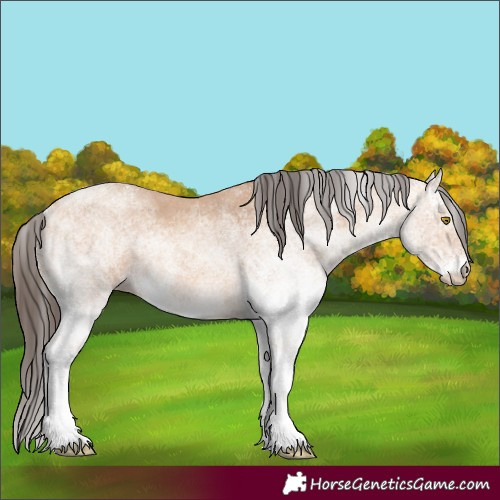 Horse Color:White Spotted Amber Champagne 