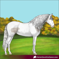 Horse Color:Silver Smoky Grullo Roan Splash Tobiano 