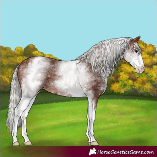 Horse Color:White Spotted Silver Brown 