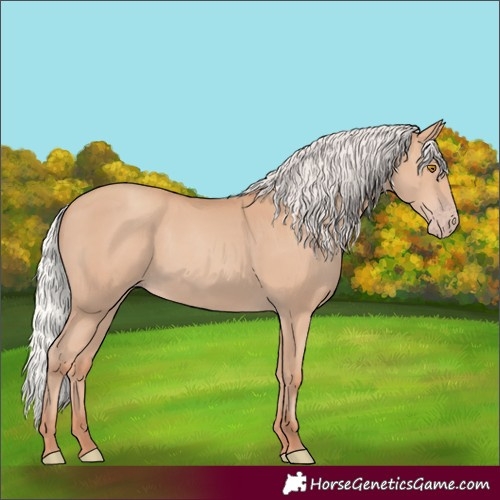 Horse Color:Silver Classic Champagne 