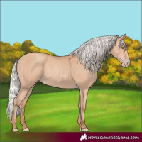 Horse Color:Silver Classic Champagne 