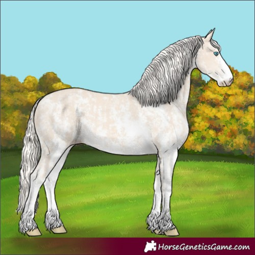 Horse Color:Cremello Sabino and Cremello Sabino