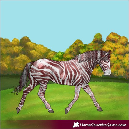 Horse Color:Brown Tobiano
